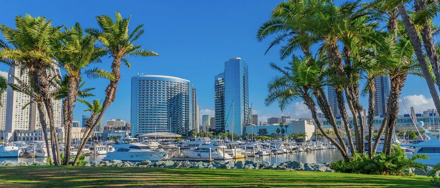 Common Causes of Car Accidents in San Diego